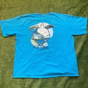 Vintage Y2K Costa Maya Sea Turtle Mexico Blue T-shirt